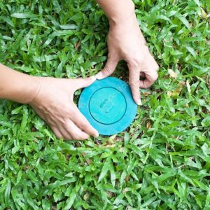 depositphotos_78708856-stock-photo-pet-control-puttine-termite-bait